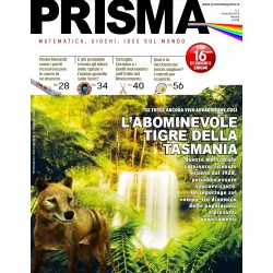 Prisma 02